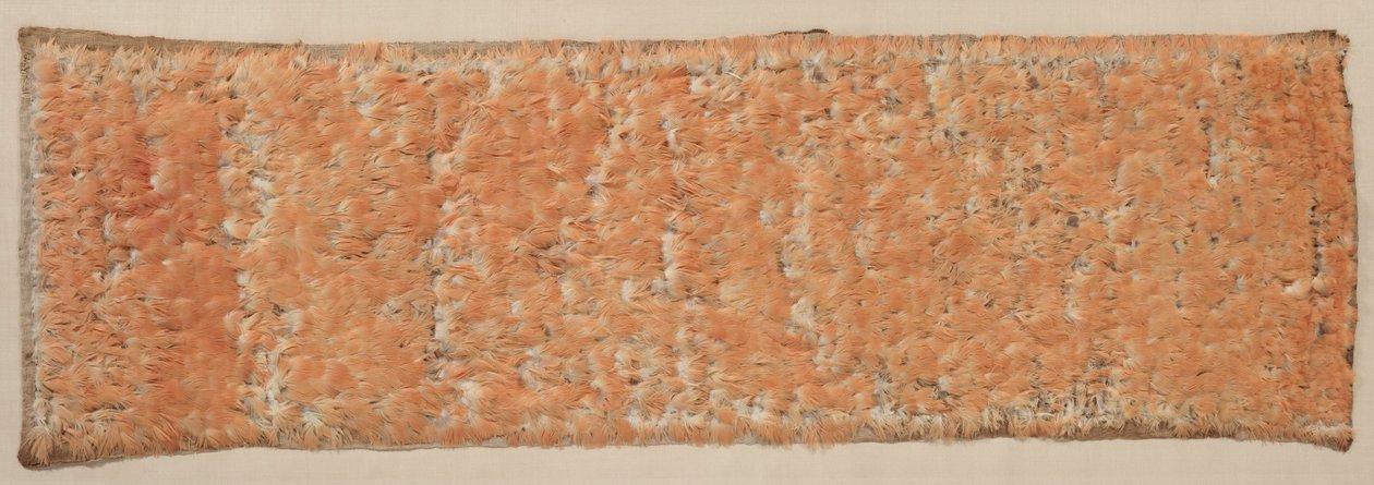 Fjærpanel, 600-1500. av Unbekannt