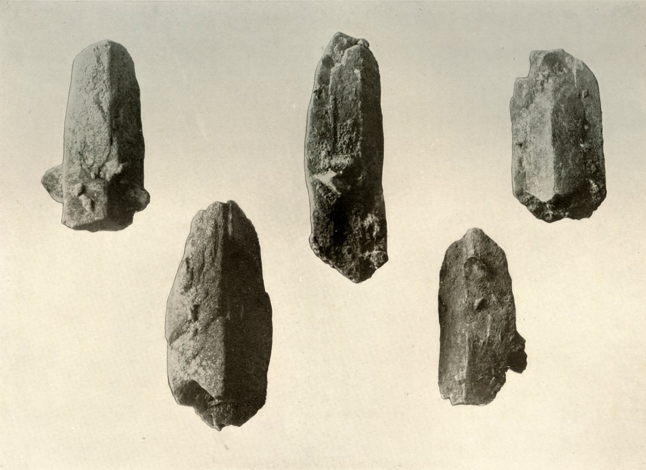Feltspatkrystaller fra Summit of Mount Erebus naturlig størrelse, 1909 av Unbekannt