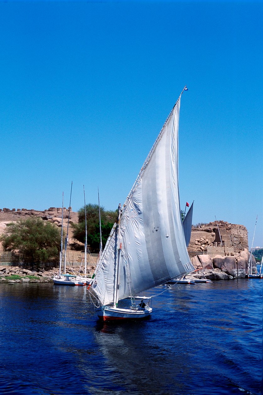 Feluccas på Nilen, Elephantine Island nær Aswan, moderne Egypt av Unbekannt