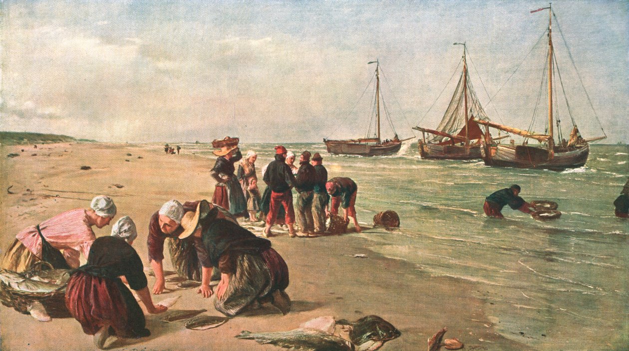 Fisk fra Doggerbanken, Scheveningen, Holland, 1870, c1902. av Unbekannt