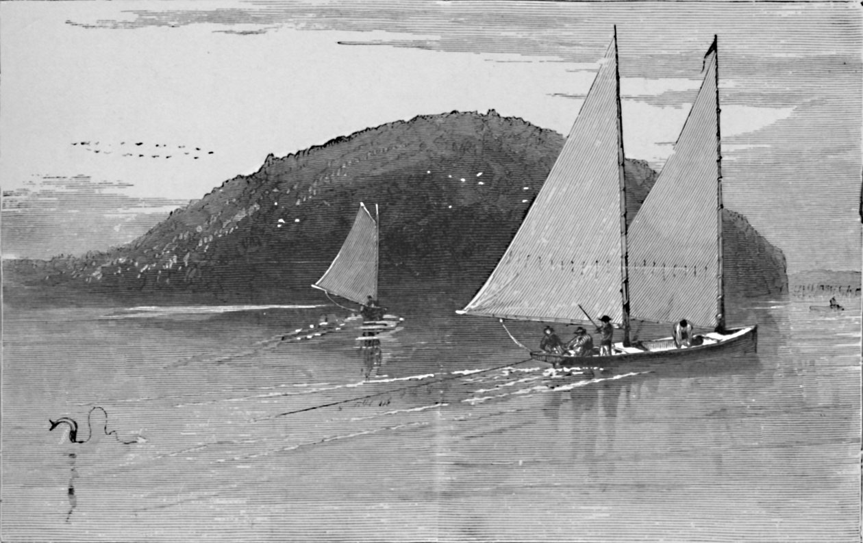 Fiske fra en seilbåt, 1883 av Unbekannt