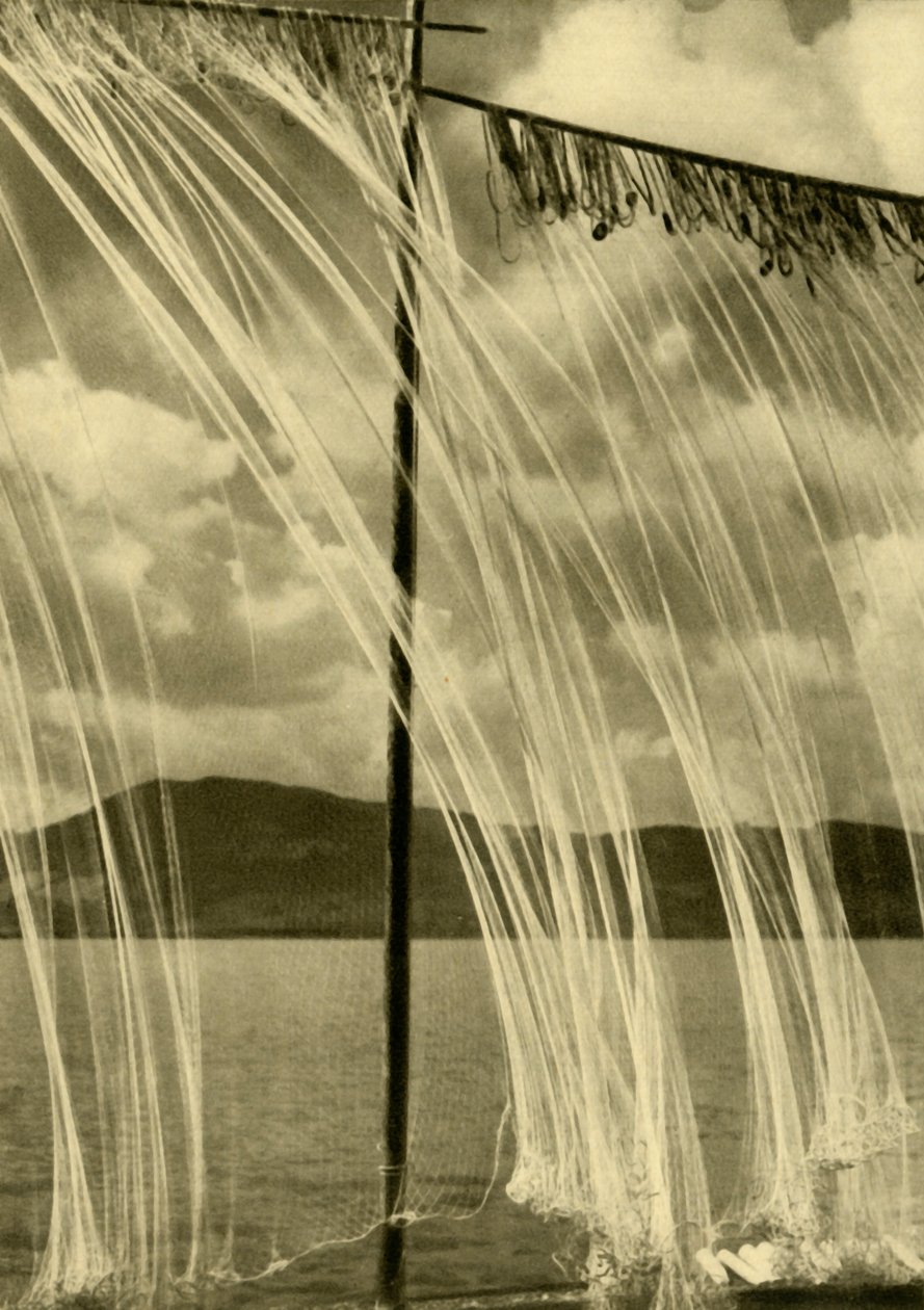 Fiskegarn, Attersee, Øvre Østerrike, c1935. av Unbekannt