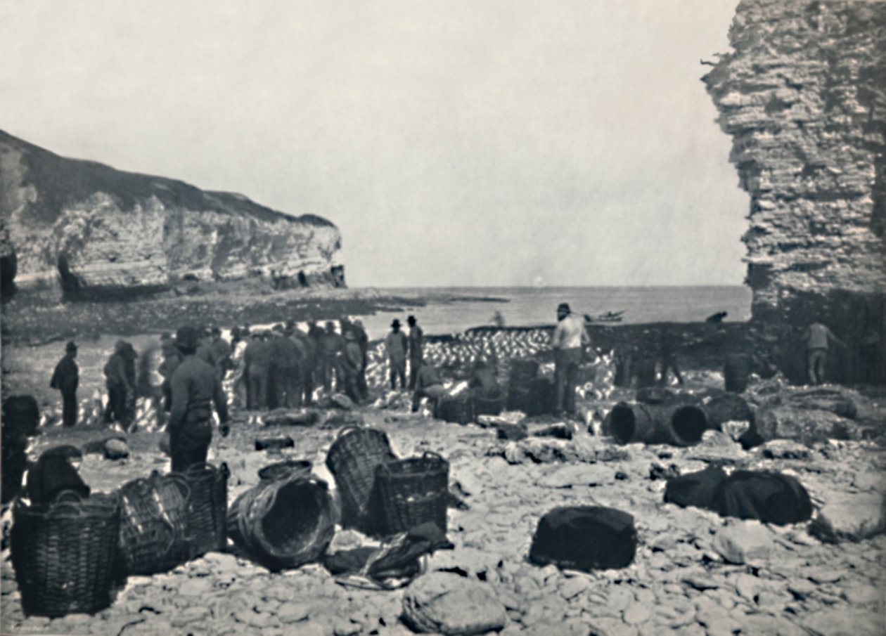 Flamborough - The Fishermen at Work, 1895 av Unbekannt