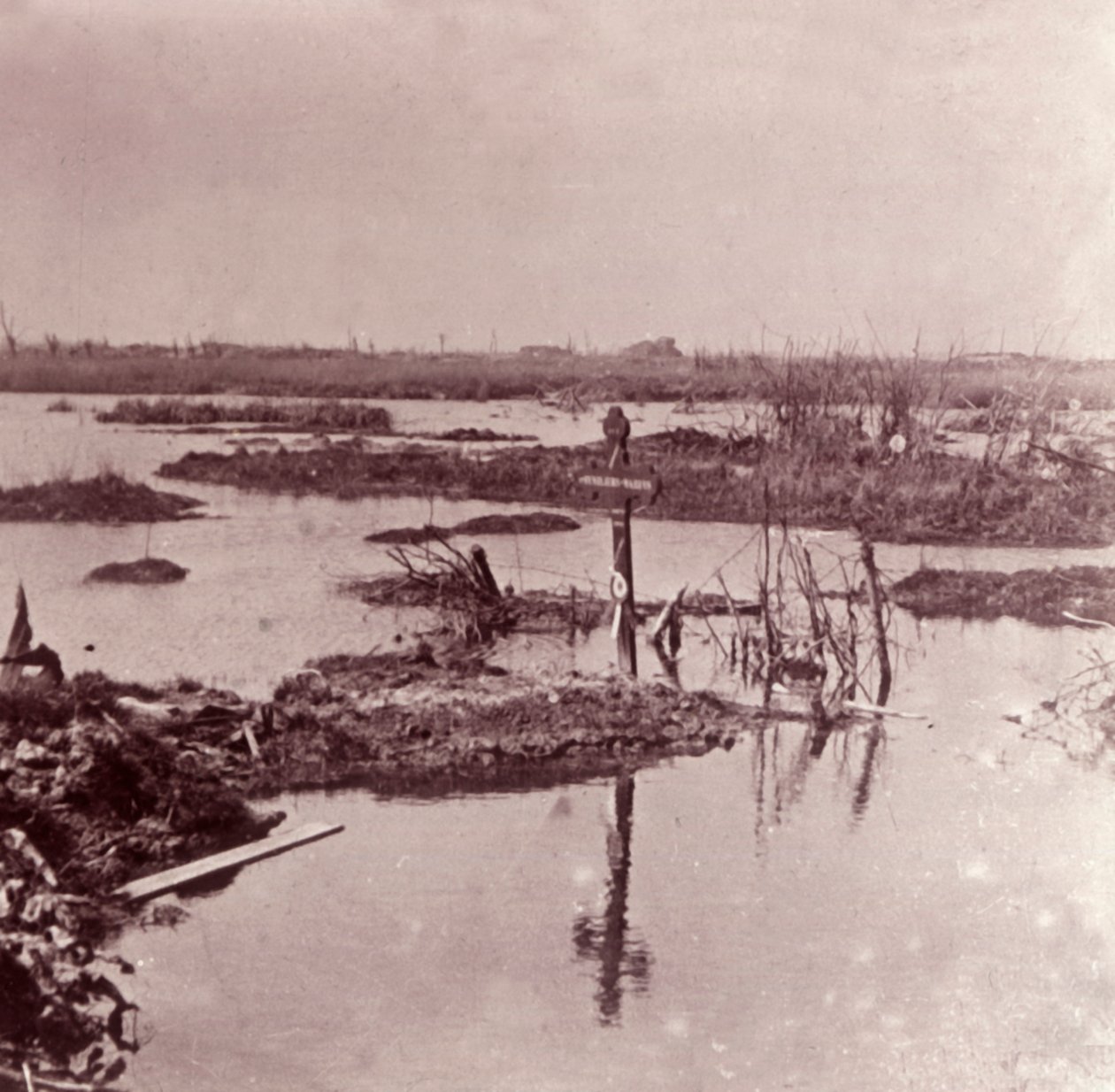 Flooding, Flandern, Belgia, c1914-c1918 av Unbekannt