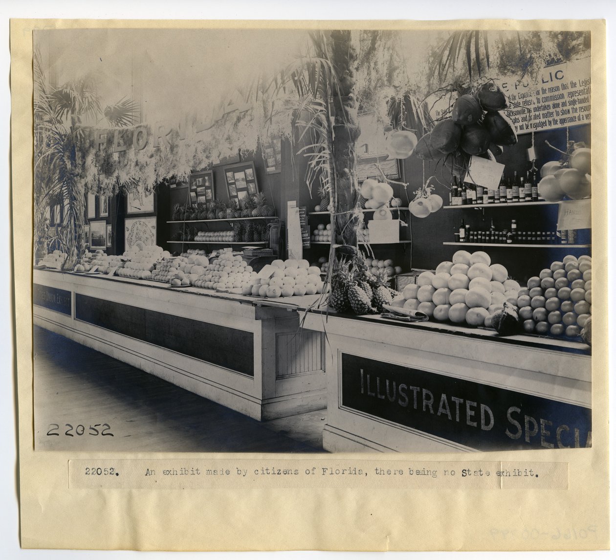 Florida hagebruk utstiller i Palace of Horticulture på verdensutstillingen i 1904 av Unbekannt