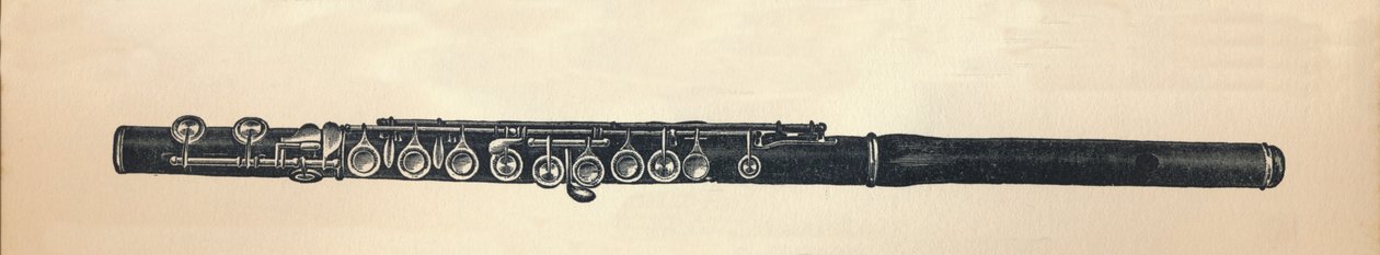 Fløyte, 1895. av Unbekannt