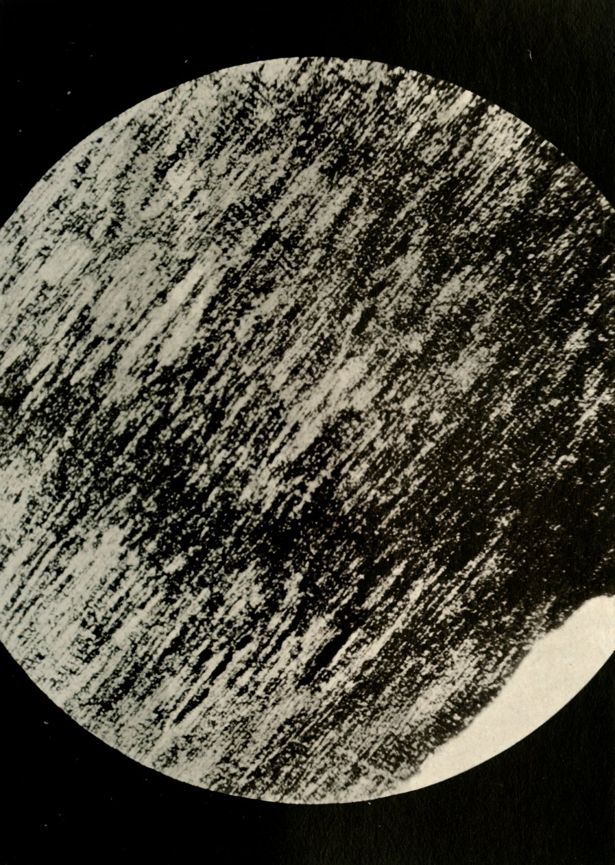 Fossilt tre i sandstein, fra en morene i breddegrad 85° sør, c1908, 1909. av Unbekannt