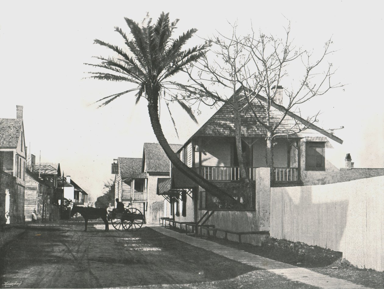 Francis Street, St. Augustine, USA, 1895. av Unbekannt