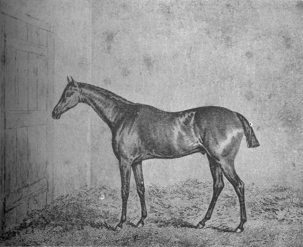 Frederick, 1826-1837, 1911 av Unbekannt