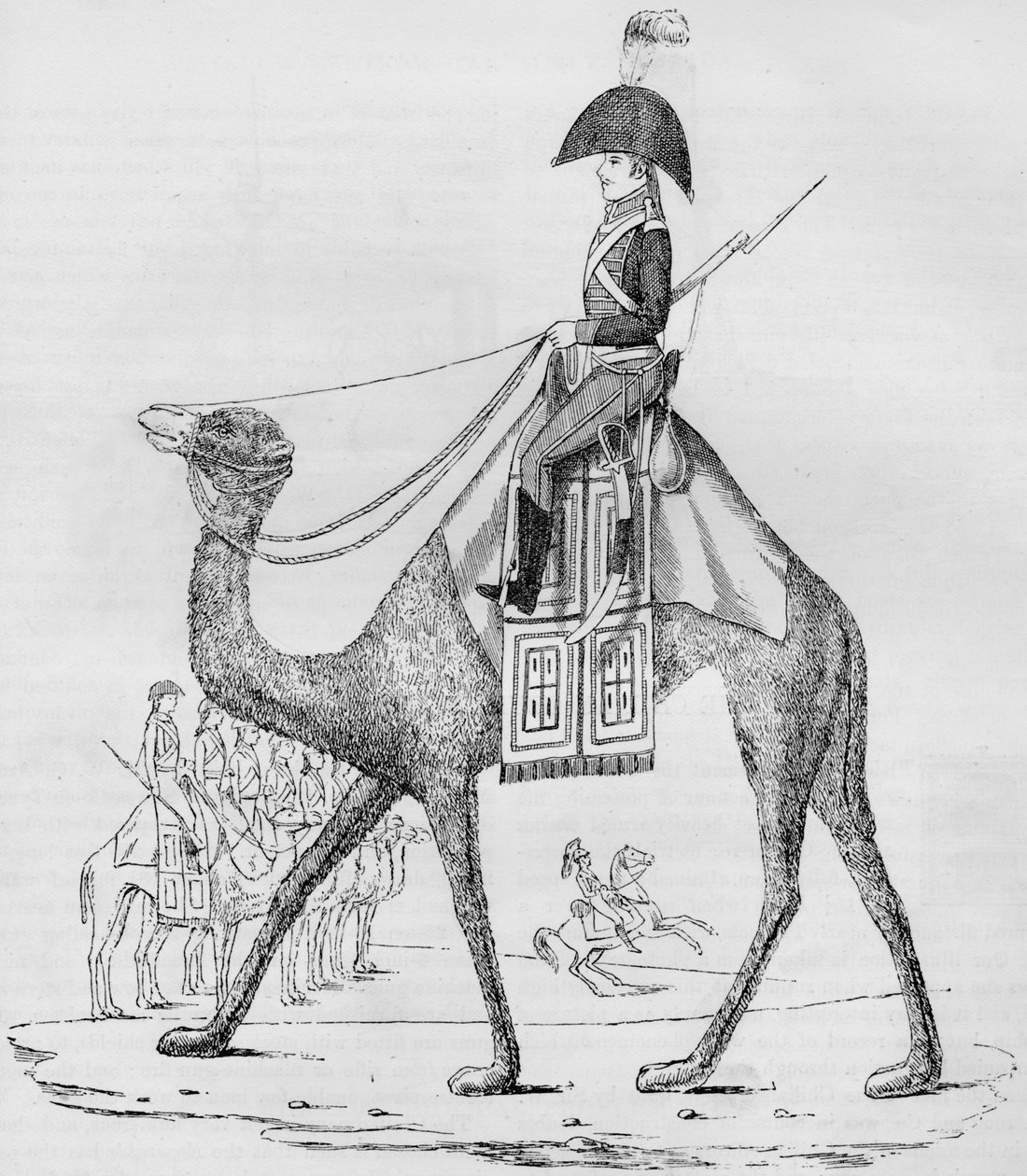 Fransk Dromedarregiment. Fanget med en konvoi i den libyske ørkenen, mai 1801, 1884 av Unbekannt