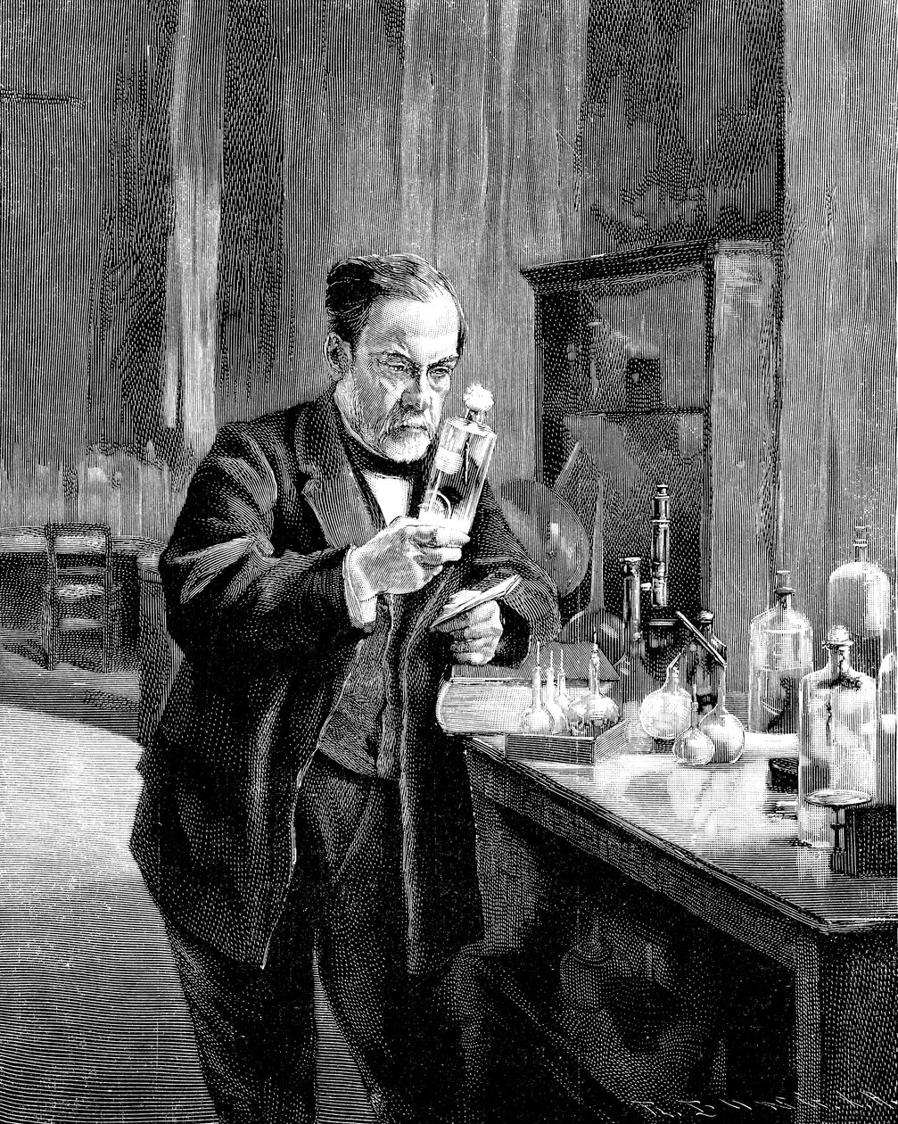 Fransk kjemiker og mikrobiolog Louis Pasteur 18221895 av Unbekannt