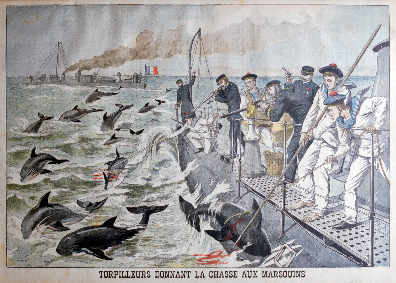 Franske torpedobåter som jakter på nise, 1903 av Unbekannt