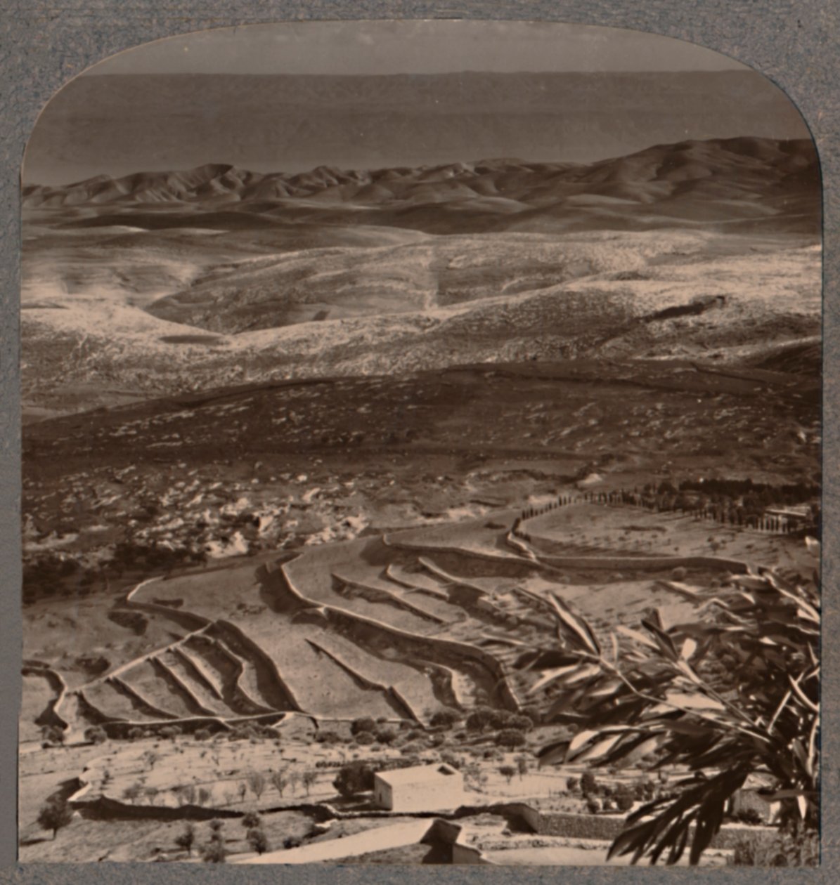 Fra Olivet til Dødehavet, over 40 miles med avfall, ca 1900 av Unbekannt