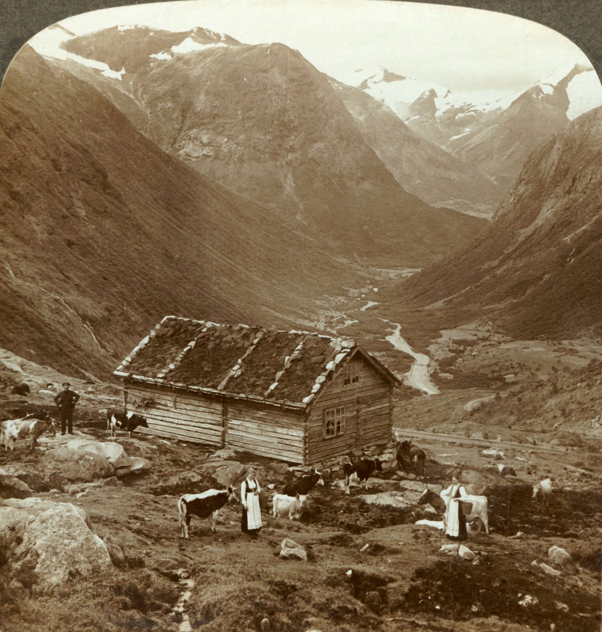 Fra fjellkroa ved Vidde saeter nedover Viddedalen - Skaalafjellet i rett avstand, c1905. av Unbekannt