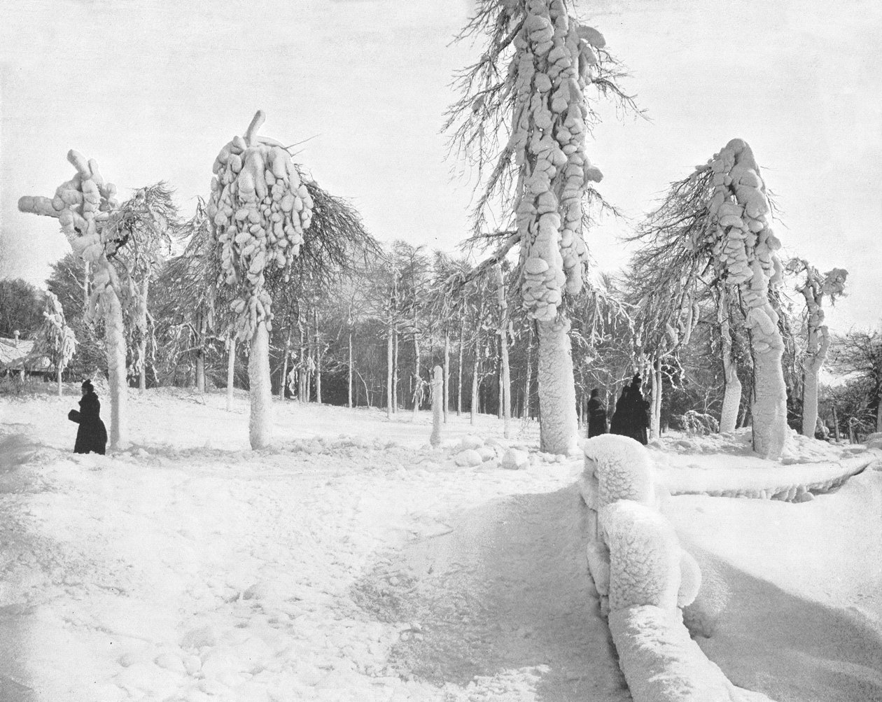 Frostarbeid i Prospect Park, Niagara, USA, c1900. av Unbekannt