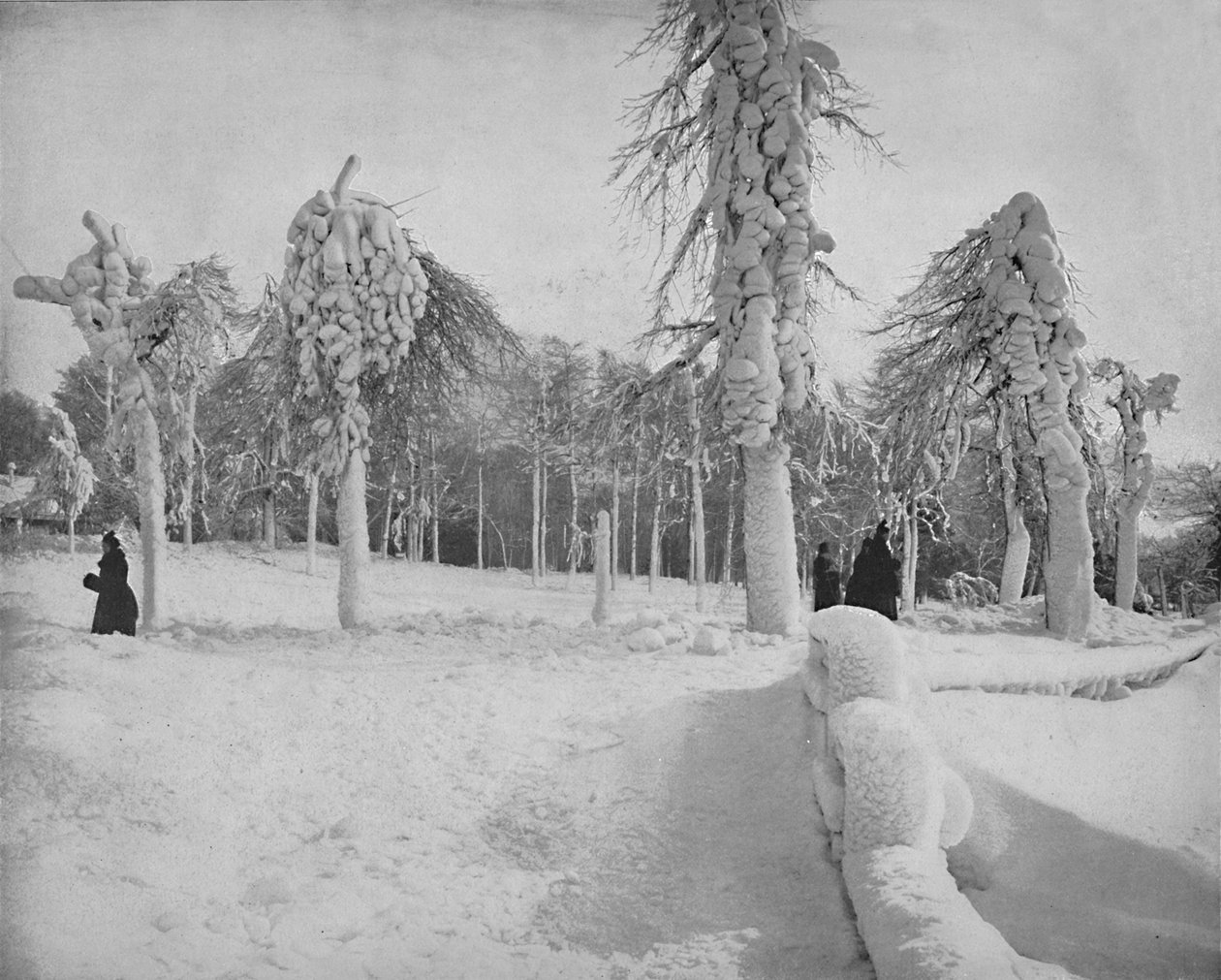 Frostarbeid i Prospect Park, Niagara, c1897. av Unbekannt