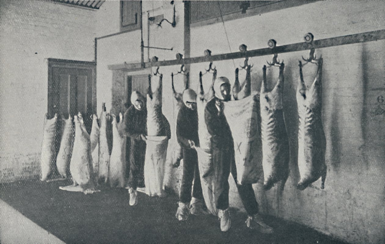 Frosset kjøtt, 1910 av Unbekannt