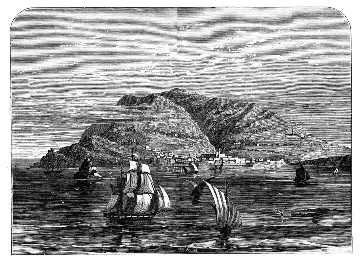 Funchal, Madeira, c1890 av Unbekannt