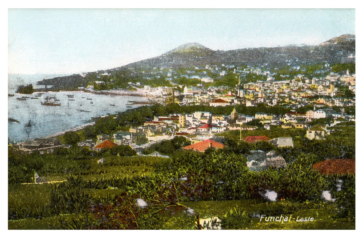 Funchal, Madeira, tidlig på 1900-tallet av Unbekannt