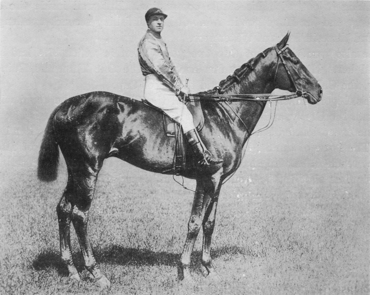 Galtee More, 1894-1917, 1911 av Unbekannt