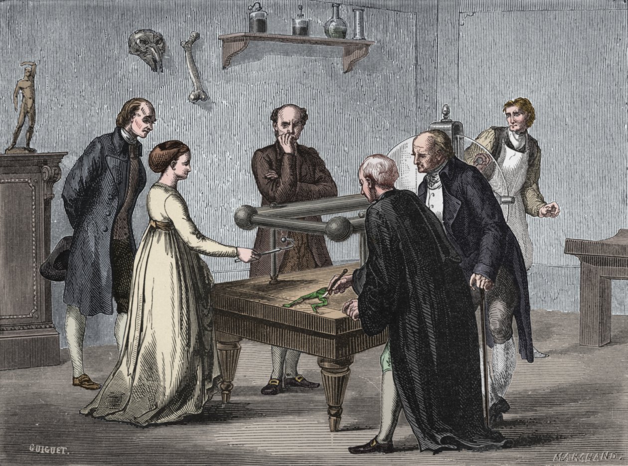 Galvanis funn, 1780 1894 av Unbekannt