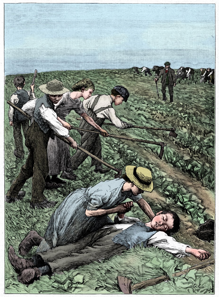 Gjengesystem for barnearbeid, c1885 av Unbekannt