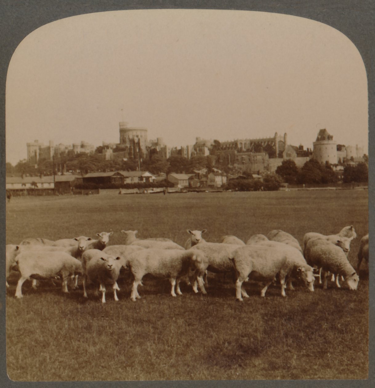 General View Windsor Castle, England, 1896. av Unbekannt