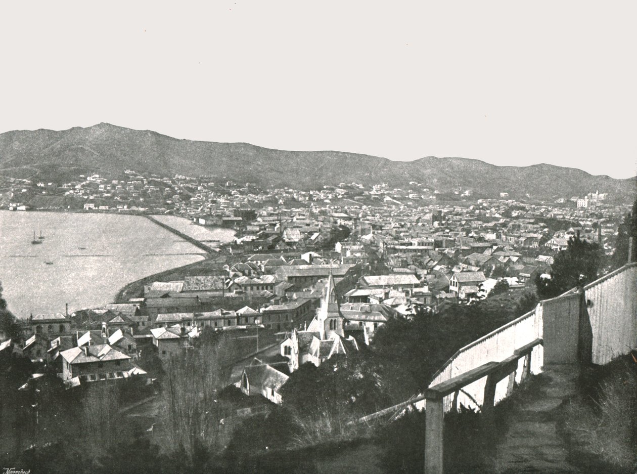Generell utsikt over byen, Wellington, New Zealand, 1895. av Unbekannt