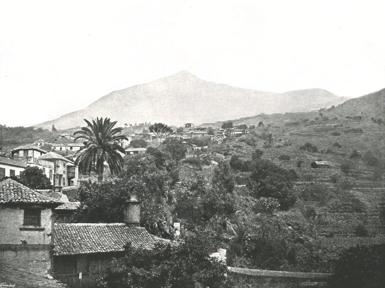 Generell visning som viser toppen, Tenerife, Kanariøyene, Spania, 1895. av Unbekannt