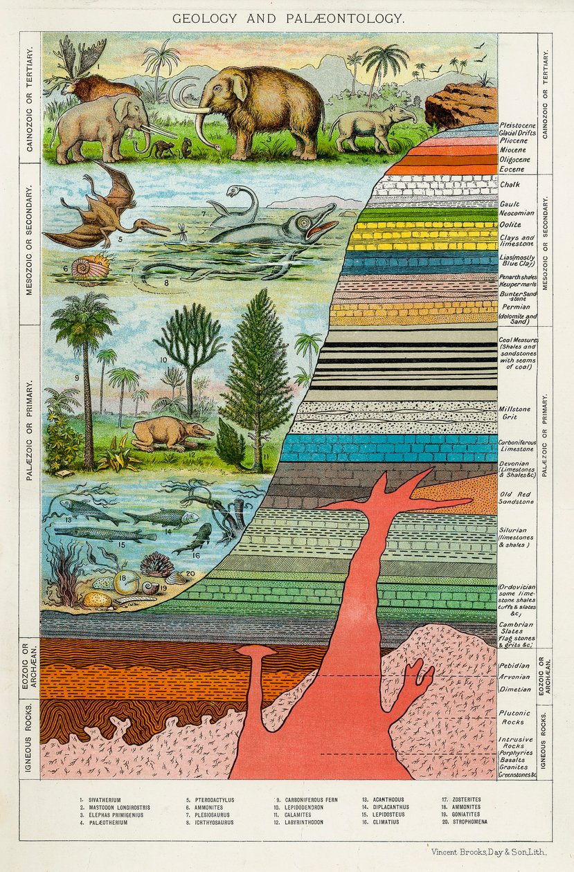 Geologi og paleontologi, c1880 av Unbekannt