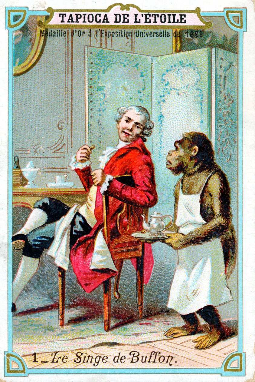 George-Louis Leclerc, Comte de Buffon, fransk naturforsker fra 1700-tallet, c1890 av Unbekannt