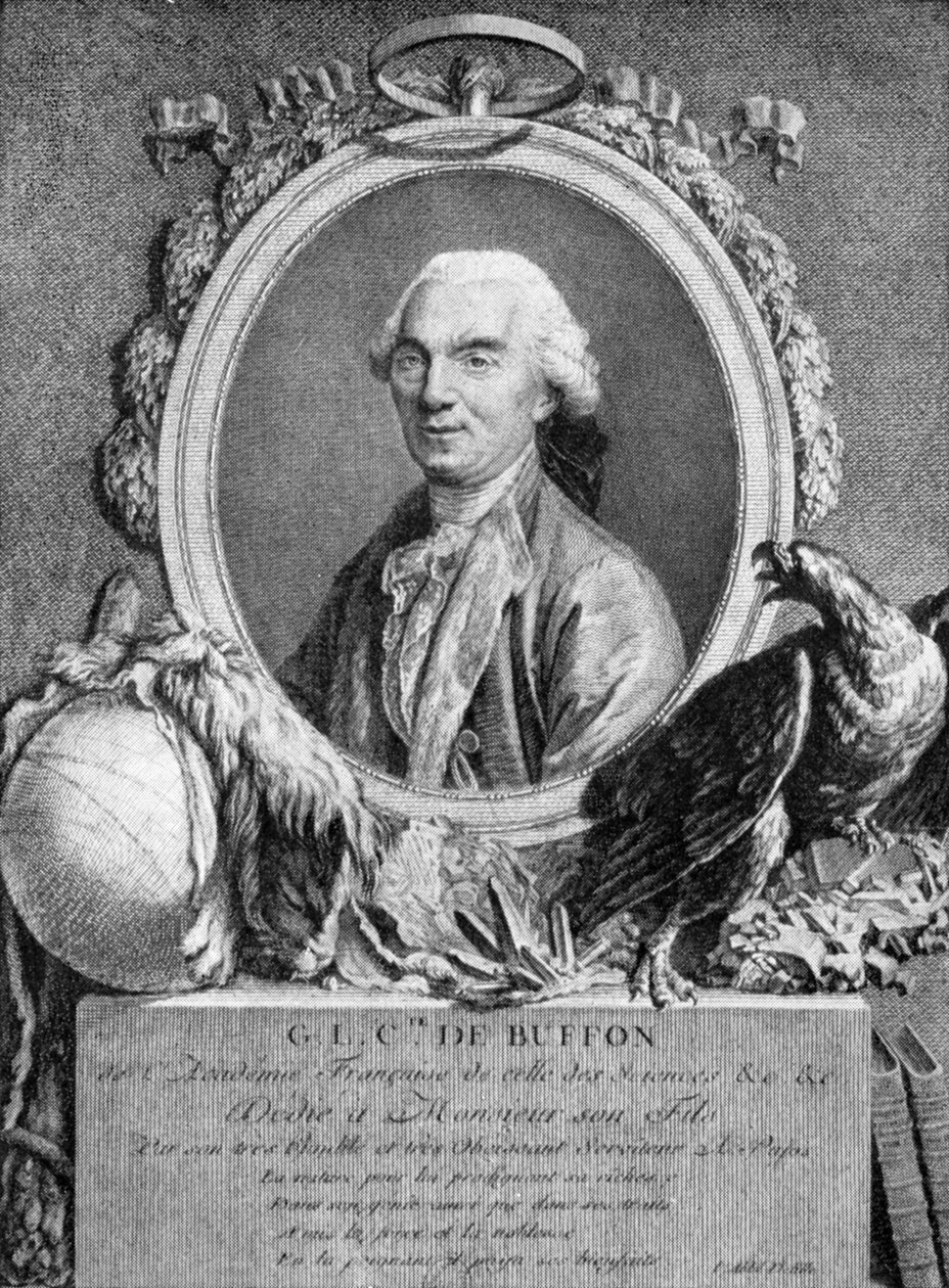 Georges-Louis Leclerc, Comte de Buffon, fransk naturforsker, 1700-tallet av Unbekannt