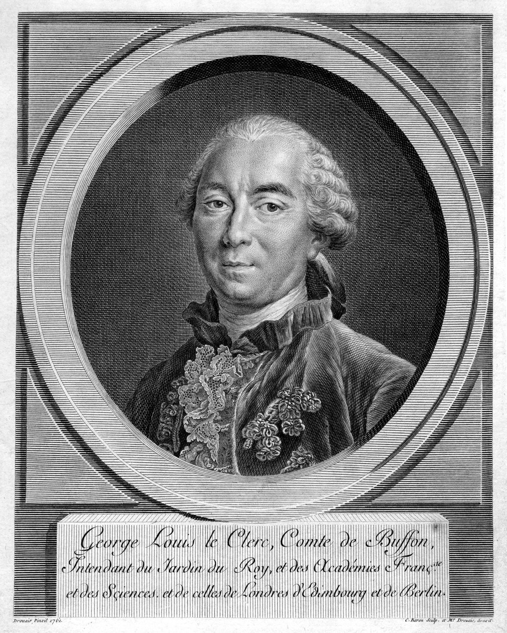 Georges-Louis Leclerc, Comte du Buffon, fransk naturforsker, 1761 av Unbekannt
