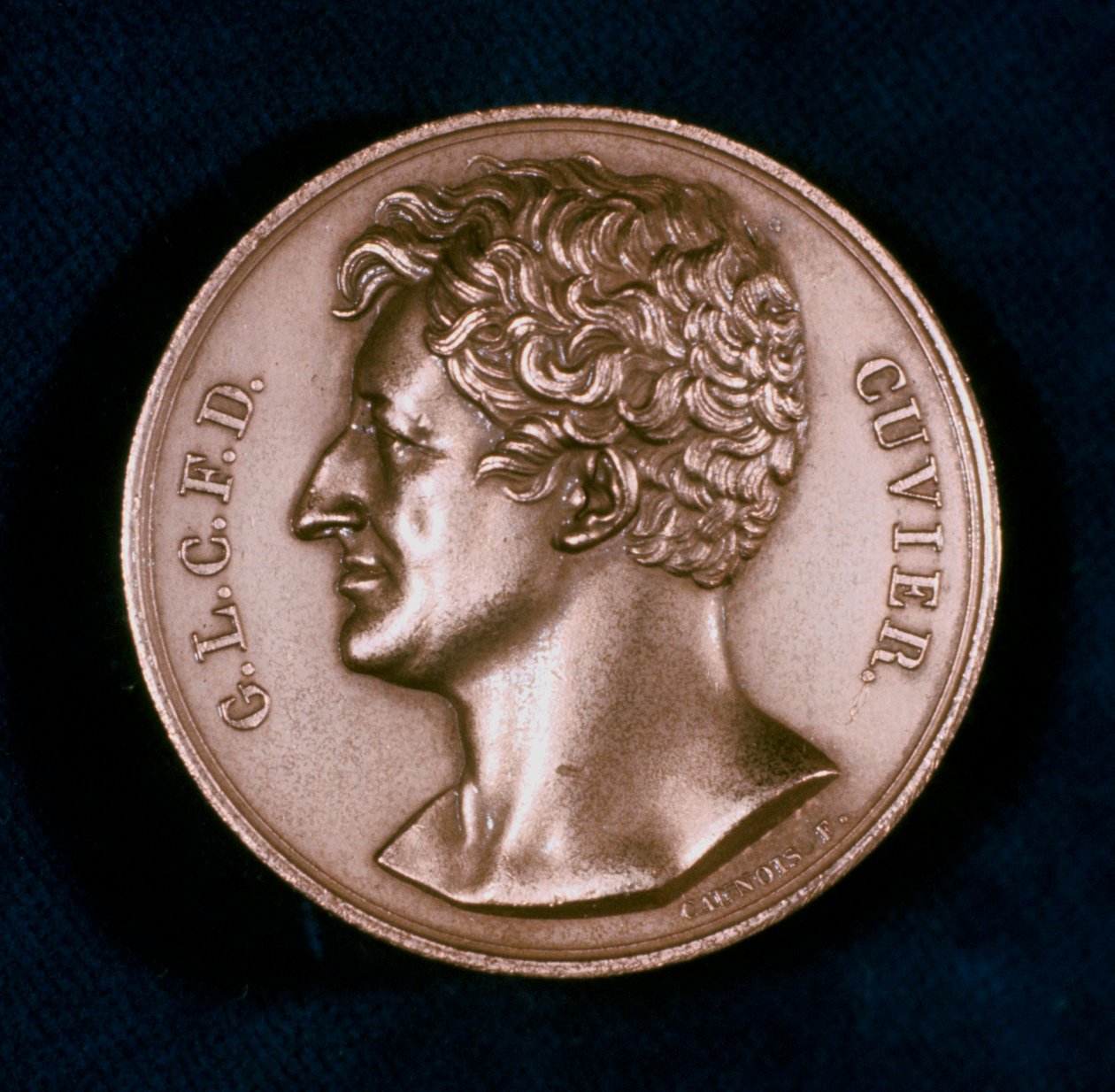 Georges Leopold Chretien Frederic Dagobert, Baron Cuvier, fransk anatom, 1800-tallet av Unbekannt