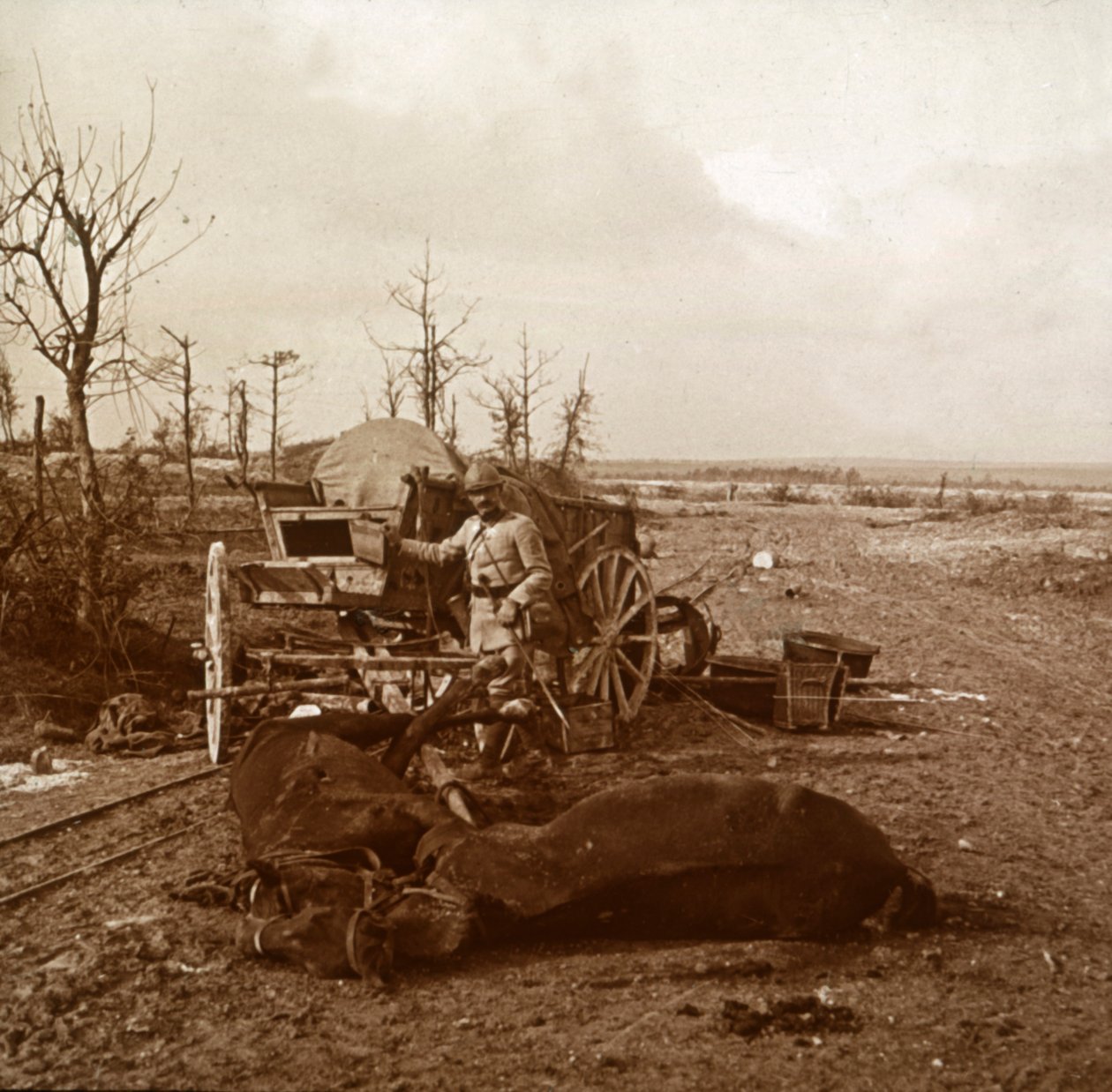 Tysk hestevogn, Tahure, Nord-Frankrike, c1914-c1918 av Unbekannt