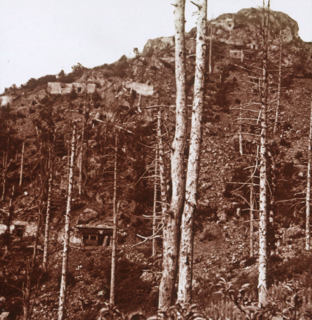 Tyske linjer, c1914-c1918 av Unbekannt