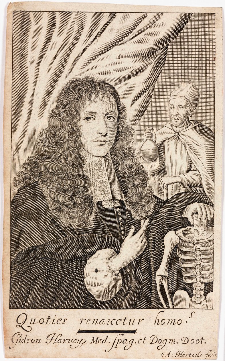 Gideon Harvey, engelsk lege av Unbekannt