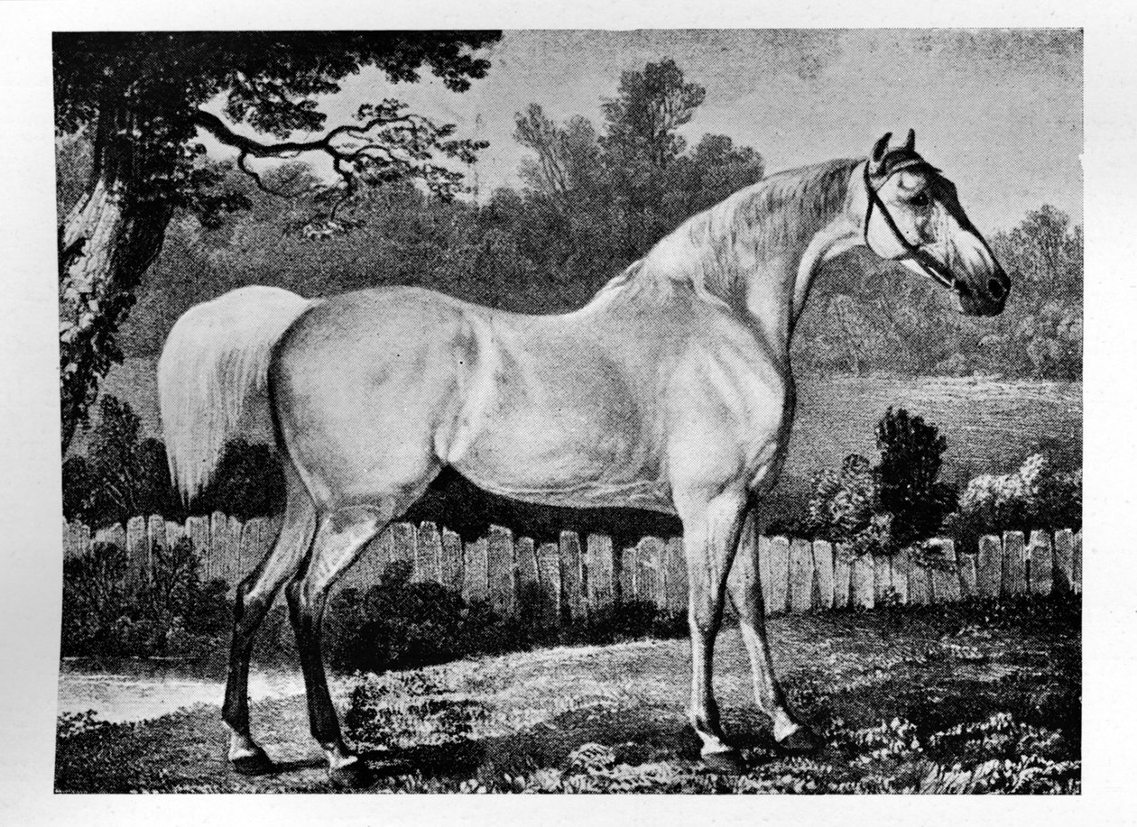 Gimcrack, 1760 -1777, 1911 av Unbekannt