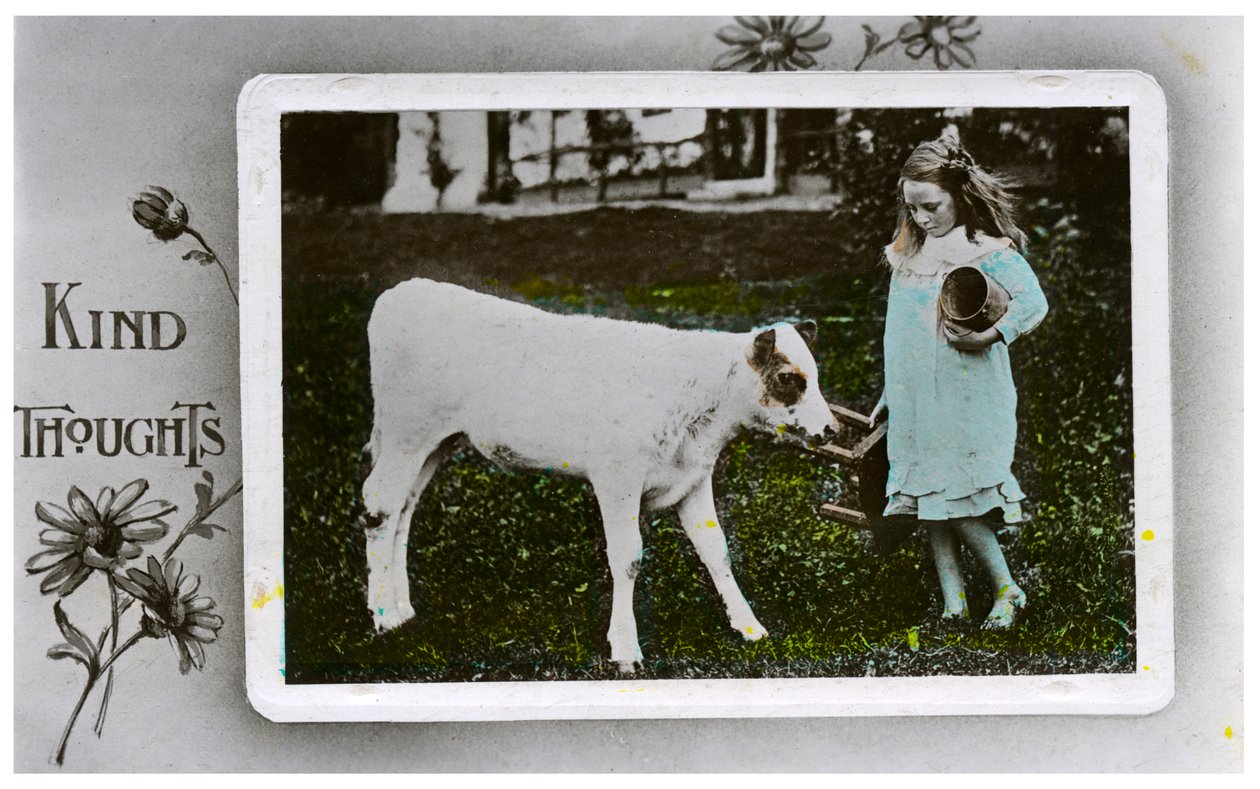 Jente som skal melke en ku, gratulasjonskort, c1890-1910 av Unbekannt