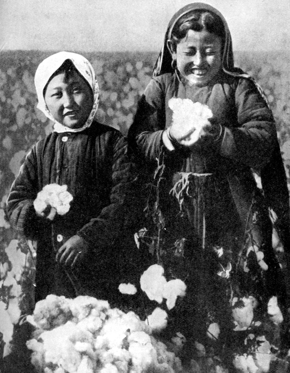 Jenter i et bomullsfelt, Kasakhstan, 1936 av Unbekannt