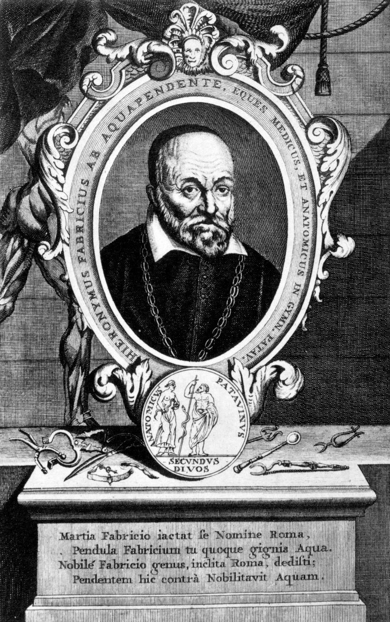 Girolamo Fabrici , italiensk anatom og kirurg, 1600-tallet av Unbekannt