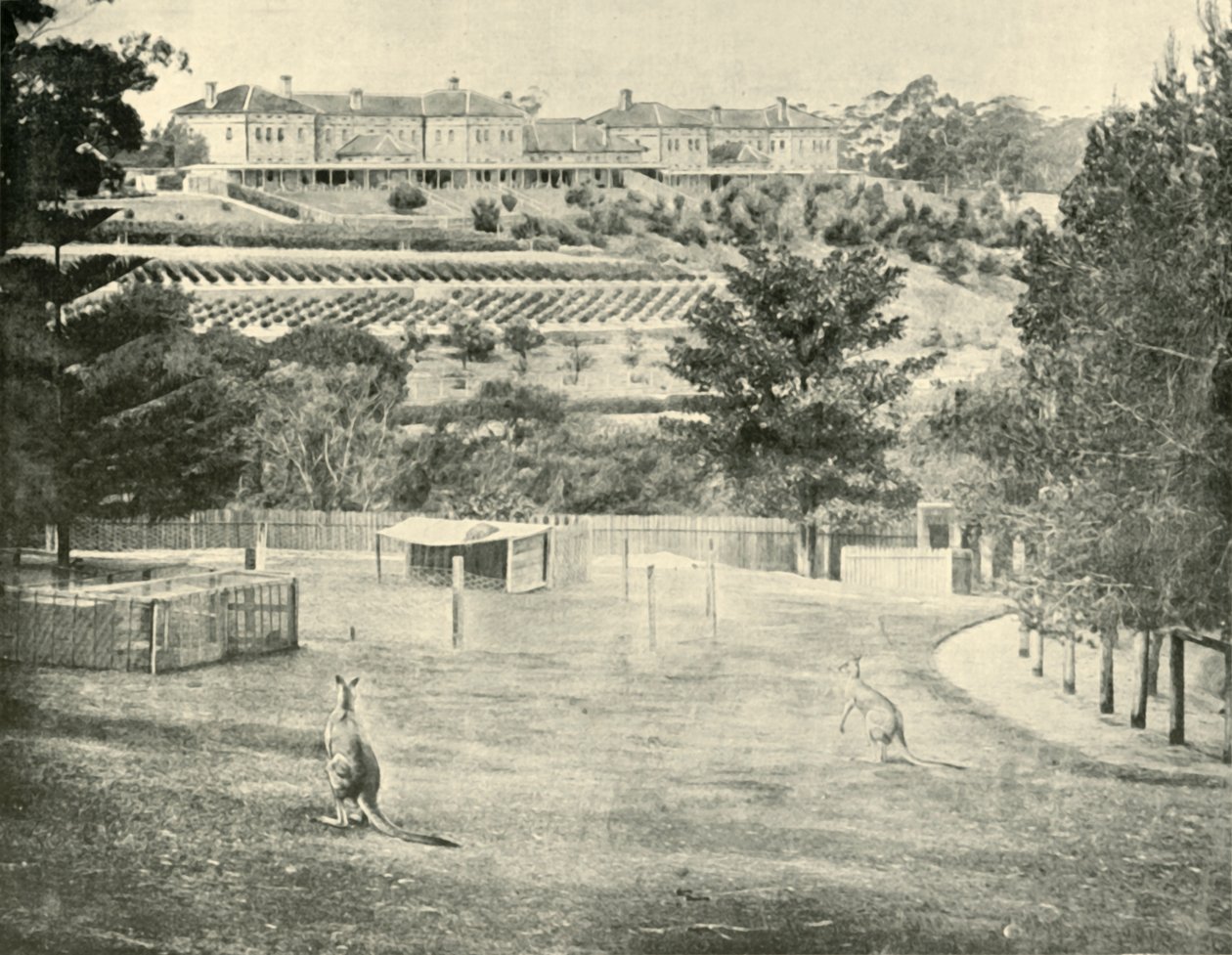 Gladesville Asylum for the Insane, New South Wales, 1901. av Unbekannt