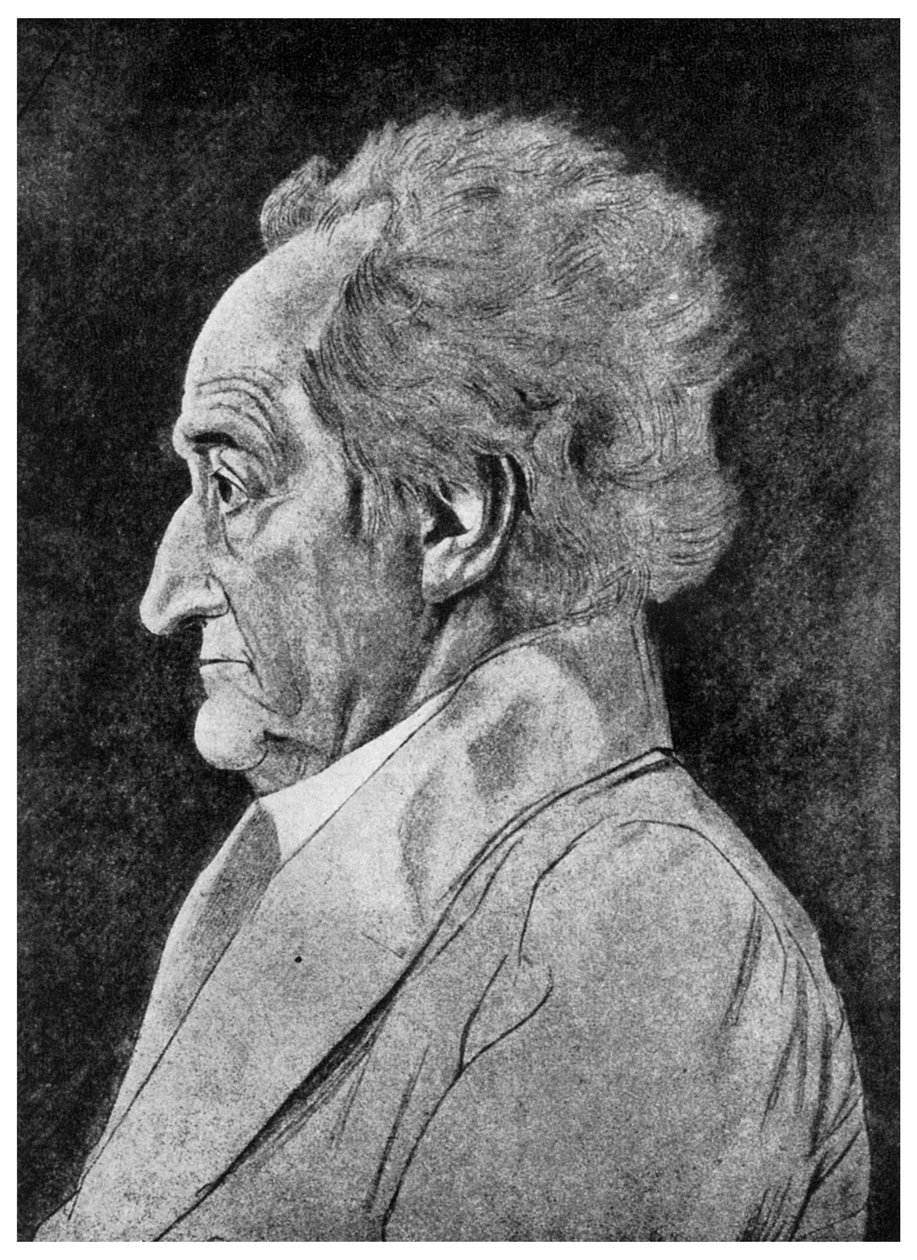 Goethe, tysk poet, 1800-tallet 1956 av Unbekannt