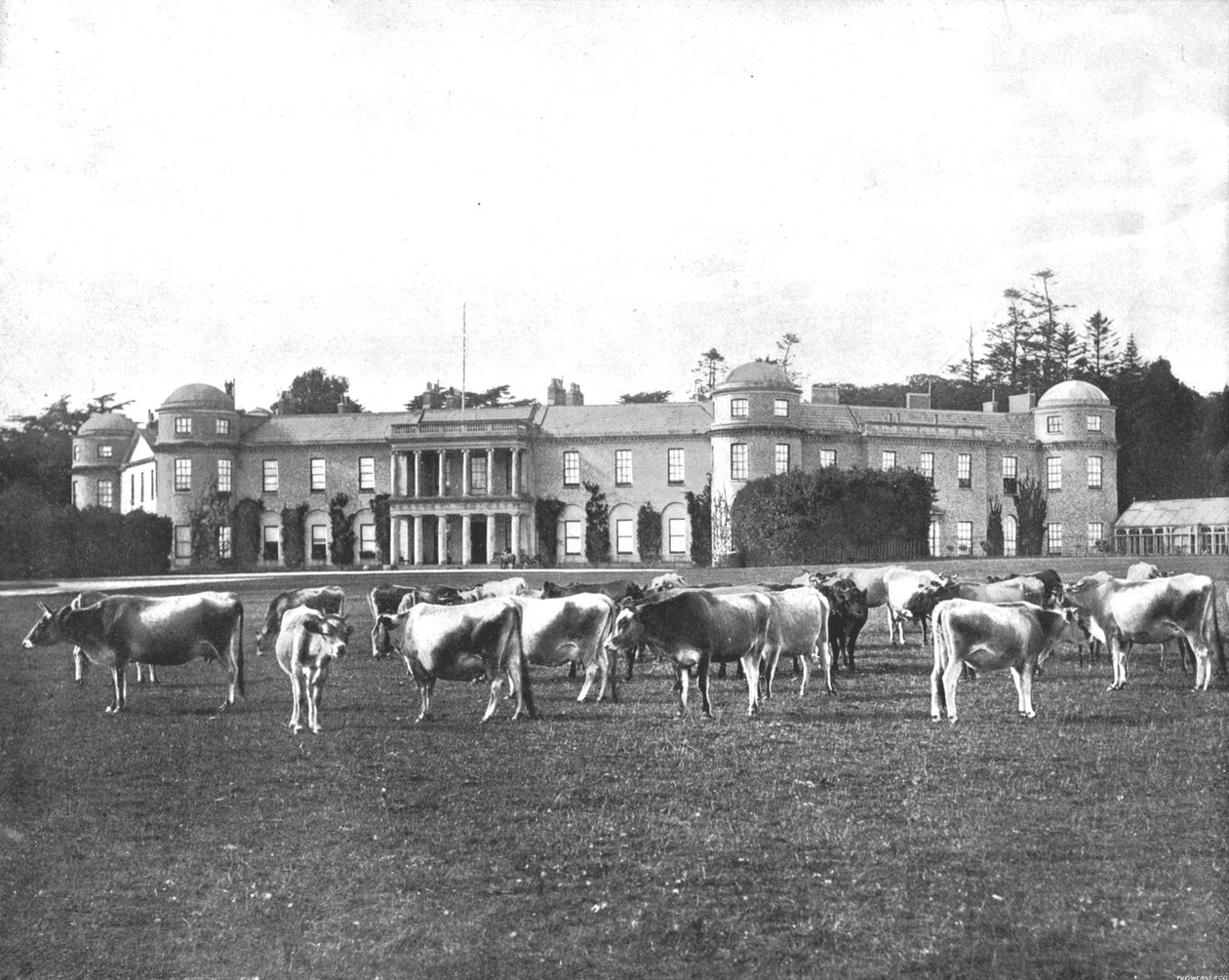 Goodwood, Hampshire, 1894. av Unbekannt