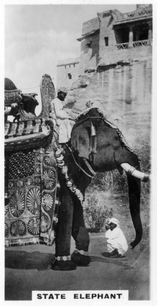Regjeringselefant i statsdrakt, Sør-India, c1925 av Unbekannt