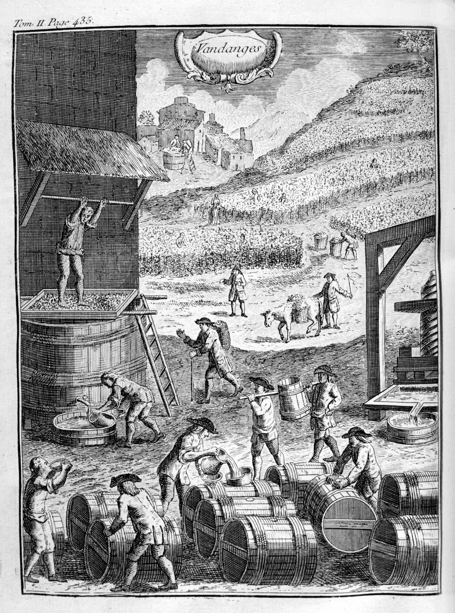 Druehøst, 1775 av Unbekannt