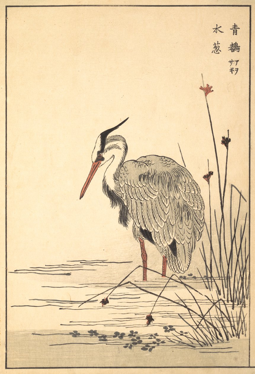 Grey Heron Aosagi og Mizu-aoi Plant, 1857. av Unbekannt