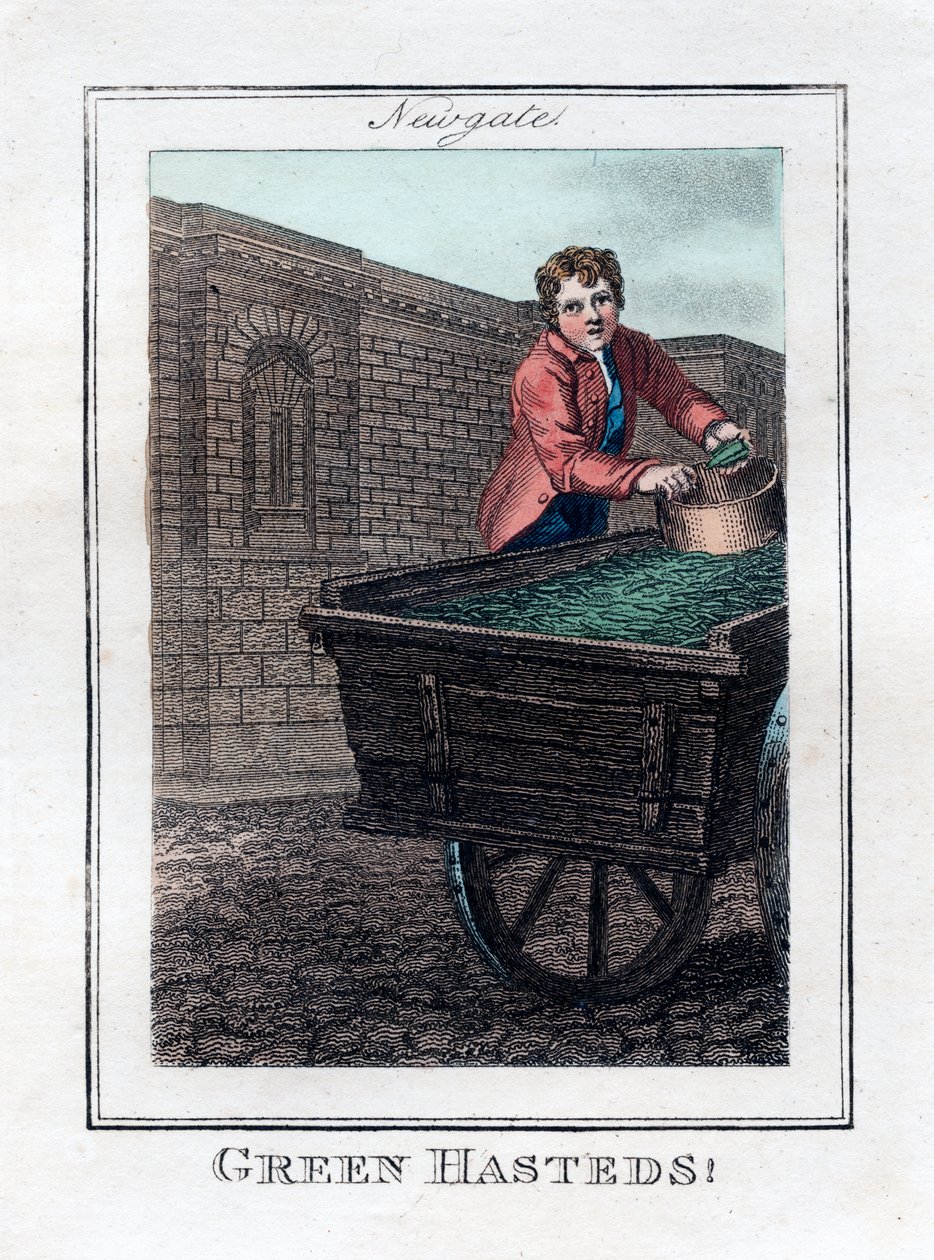 Green Hasteds, Newgate, London, 1805 av Unbekannt