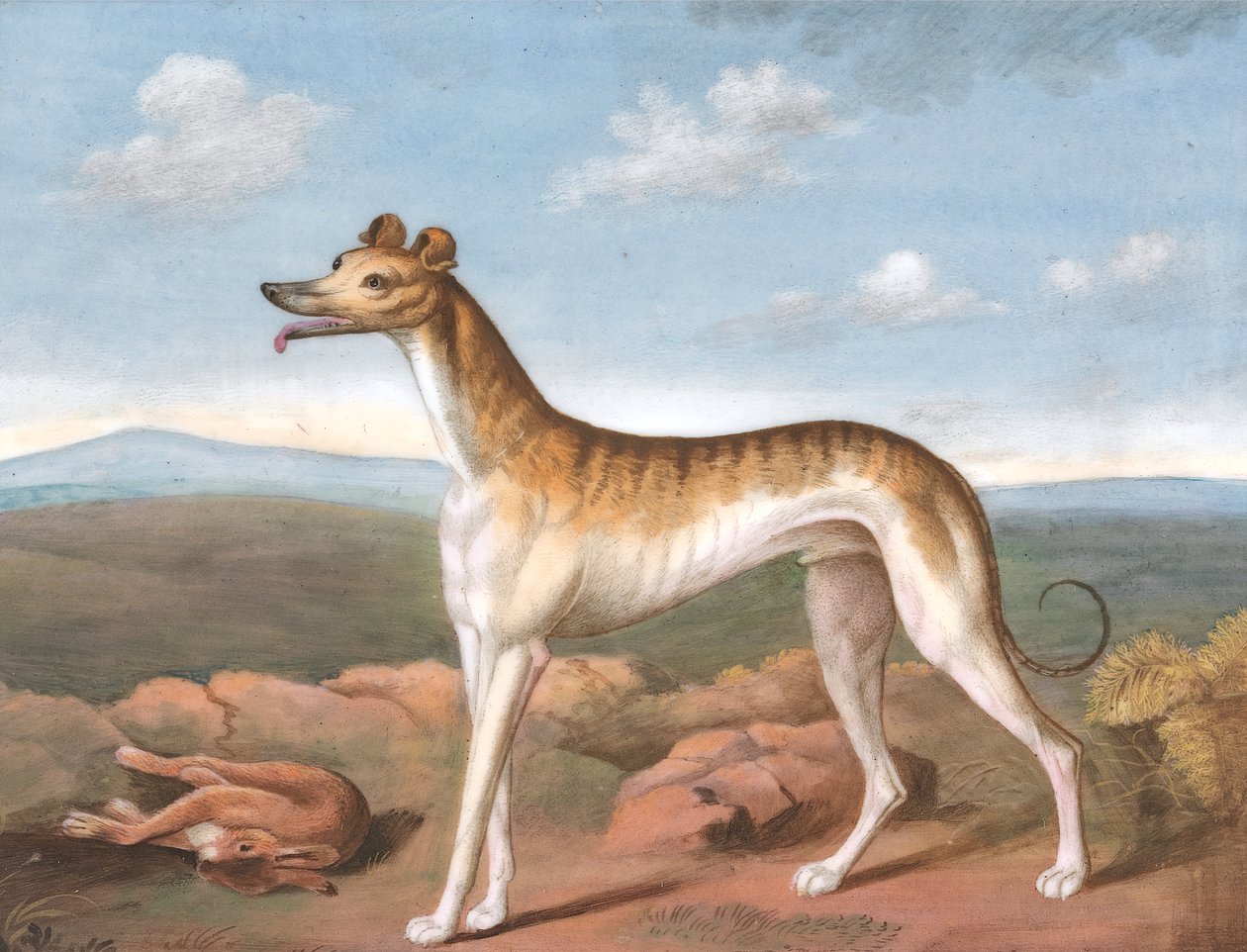 Greyhound: Venstrevendt, med en død hare ved føttene, ca. 1805. av Unbekannt