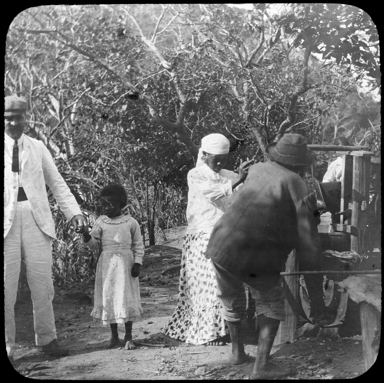 Maling av sukkerrør, Brasil, slutten av 1800- eller begynnelsen av 1900-tallet av Unbekannt
